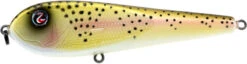 River2Sea ICBM 120 Hard Stickbait/Glidebait -Professional Fishing Store 01LiteTrout 73901c30 abdc 4da8 9afc 3d6fba96080a