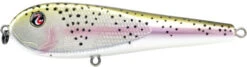 River2Sea ICBM 120 Hard Stickbait/Glidebait -Professional Fishing Store 02RainbowTrout eadba6ed 8576 49bb ae99 7c2d8eb79b04