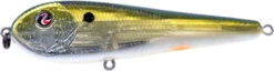 River2Sea ICBM 120 Hard Stickbait/Glidebait -Professional Fishing Store 03IKnowIt