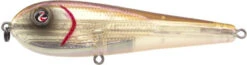 River2Sea ICBM 120 Hard Stickbait/Glidebait -Professional Fishing Store 04MulletShad