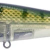 River2Sea ICBM 120 Hard Stickbait/Glidebait -Professional Fishing Store 06BlueGill