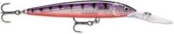 Rapala Down Deep Husky Jerk 10 Deep Diving Jerkbait -Professional Fishing Store 12564593639479
