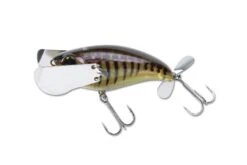 Jackall Pompadour Jr. Topwater Lure -Professional Fishing Store 12984638144567