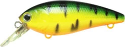 Lucky Craft Moonsault CB-100 Shallow Diving Crankbait -Professional Fishing Store 13025143128119
