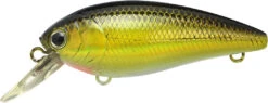 Lucky Craft Moonsault CB-100 Shallow Diving Crankbait -Professional Fishing Store 13025143160887
