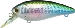 Lucky Craft Moonsault CB-100 Shallow Diving Crankbait -Professional Fishing Store 13025143488567