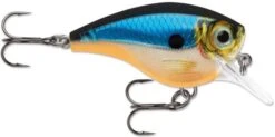 Rapala BX Big Brat 2 3/4 Inch Square Bill Crankbait -Professional Fishing Store 31321538363481