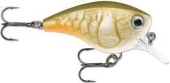 Rapala BX Big Brat 2 3/4 Inch Square Bill Crankbait -Professional Fishing Store 31321538396249