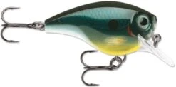 Rapala BX Big Brat 2 3/4 Inch Square Bill Crankbait -Professional Fishing Store 31321538429017