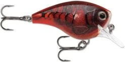 Rapala BX Big Brat 2 3/4 Inch Square Bill Crankbait -Professional Fishing Store 31321538527321
