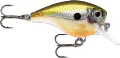 Rapala BX Big Brat 2 3/4 Inch Square Bill Crankbait -Professional Fishing Store 31321538560089