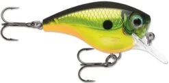 Rapala BX Big Brat 2 3/4 Inch Square Bill Crankbait -Professional Fishing Store 31321538592857