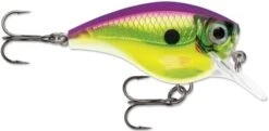 Rapala BX Big Brat 2 3/4 Inch Square Bill Crankbait -Professional Fishing Store 31321538723929