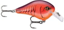 Rapala DT Fat 03 Shallow Square Bill Crankbait -Professional Fishing Store 31333941149785