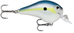 Rapala DT Fat 03 Shallow Square Bill Crankbait -Professional Fishing Store 31333941182553
