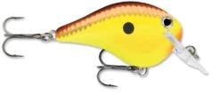 Rapala DT Fat 03 Shallow Square Bill Crankbait -Professional Fishing Store 31333941215321