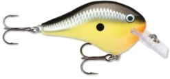 Rapala DT Fat 03 Shallow Square Bill Crankbait -Professional Fishing Store 31333941280857