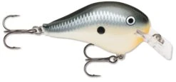 Rapala DT Fat 03 Shallow Square Bill Crankbait -Professional Fishing Store 31333941313625