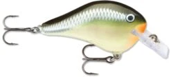 Rapala DT Fat 03 Shallow Square Bill Crankbait -Professional Fishing Store 31333941379161