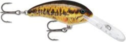 Rapala Shad Dancer SDD07 Deep Diving Crankbait -Professional Fishing Store 31340105138265