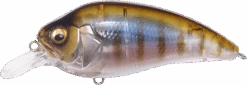 Megabass Super-Z Z-1 Medium Diving Crankbait -Professional Fishing Store 31680779026521