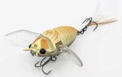 Chasebaits Ripple Cicada 1 3/4 Inch Wakebait Crawler -Professional Fishing Store 32233146843225