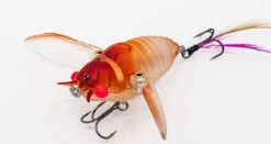 Chasebaits Ripple Cicada 1 3/4 Inch Wakebait Crawler -Professional Fishing Store 32233146941529