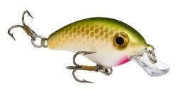 Strike King Pro Model Bitsy Minnow Ultralight Crankbait -Professional Fishing Store 39298391244889