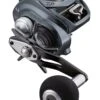 Daiwa Lexa TW 300 Baitcasting Reels -Professional Fishing Store 39445632254041