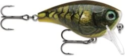 Rapala BX Mid-Brat 05 Squarebill Crankbait -Professional Fishing Store 39740178366553