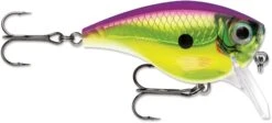 Rapala BX Mid-Brat 05 Squarebill Crankbait -Professional Fishing Store 39740178432089
