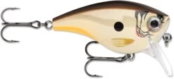 Rapala BX Mid-Brat 05 Squarebill Crankbait -Professional Fishing Store 39740178497625