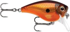 Rapala BX Mid-Brat 05 Squarebill Crankbait -Professional Fishing Store 39740178530393
