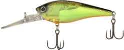 Best Seller -Professional Fishing Store 40022140452953