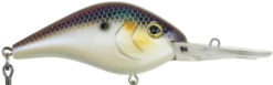 Berkley Dredger Deep Diving Crankbait Deeper Diving Models -Professional Fishing Store 40325002985561