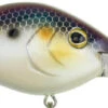 Berkley Dredger Deep Diving Crankbait Deeper Diving Models 2 Berkley Dredger Deep Diving Crankbait Deeper Diving Models -Professional Fishing Store 40325003018329