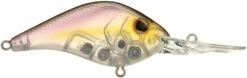 Berkley Dredger Deep Diving Crankbait Deeper Diving Models -Professional Fishing Store 40325003182169