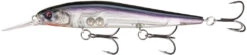 13 Fishing Loco Special 4 1/4 Inch Jerkbait -Professional Fishing Store 9 Gizzard of OZ