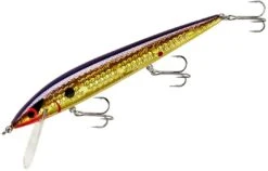 Smithwick Elite 8 Rogue 4 1/2 Inch Suspending Jerkbait -Professional Fishing Store ADR4213