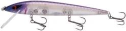 Smithwick Elite 8 Rogue 4 1/2 Inch Suspending Jerkbait -Professional Fishing Store ADR4279