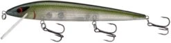 Smithwick Elite 8 Rogue 4 1/2 Inch Suspending Jerkbait -Professional Fishing Store ADR4281