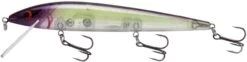 Smithwick Elite 8 Rogue 4 1/2 Inch Suspending Jerkbait -Professional Fishing Store ADR4282