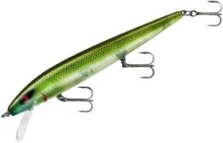 Smithwick Perfect 10 Rogue 5 1/2 Inch Deep Diving Suspending Jerkbait -Professional Fishing Store ADR5281