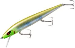 Smithwick Perfect 10 Rogue 5 1/2 Inch Deep Diving Suspending Jerkbait -Professional Fishing Store ADR5283