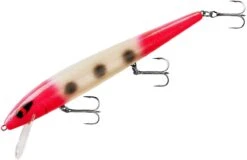 Smithwick Perfect 10 Rogue 5 1/2 Inch Deep Diving Suspending Jerkbait -Professional Fishing Store ADR5293