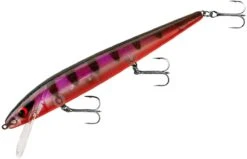 Smithwick Perfect 10 Rogue 5 1/2 Inch Deep Diving Suspending Jerkbait -Professional Fishing Store ADR5294