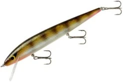 Smithwick Perfect 10 Rogue 5 1/2 Inch Deep Diving Suspending Jerkbait -Professional Fishing Store ADR5303