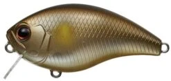 Evergreen International CH-1 Waking Crankbait -Professional Fishing Store Ayu a3f83c93 32e2 44fc 9ac7 d61fadd3fe89
