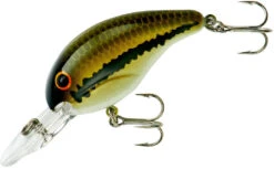 Bandit 200 Series Medium Diving Crankbait -Professional Fishing Store BDT201