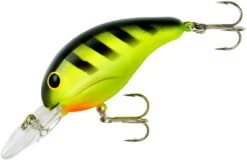 Bandit 200 Series Medium Diving Crankbait -Professional Fishing Store BDT206